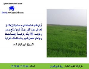  - 0774 أرض فلاحية بيضاء